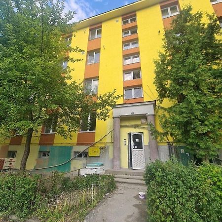 Mural Art Apartament Петрошани Экстерьер фото