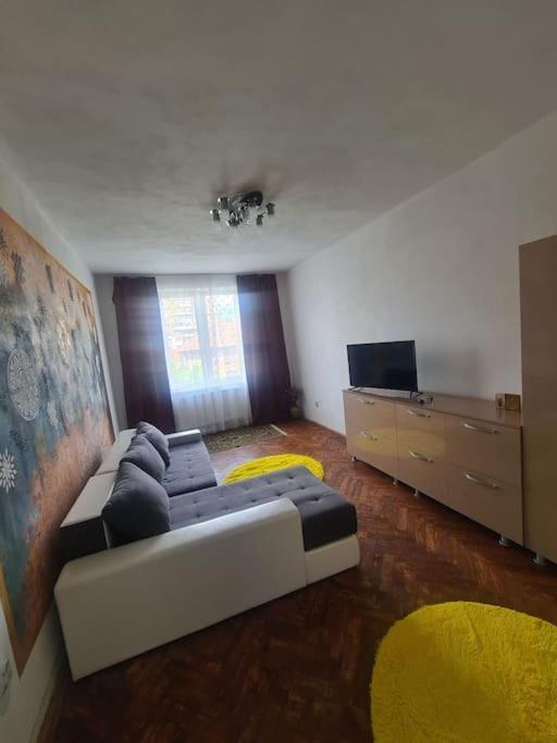 Mural Art Apartament Петрошани Экстерьер фото