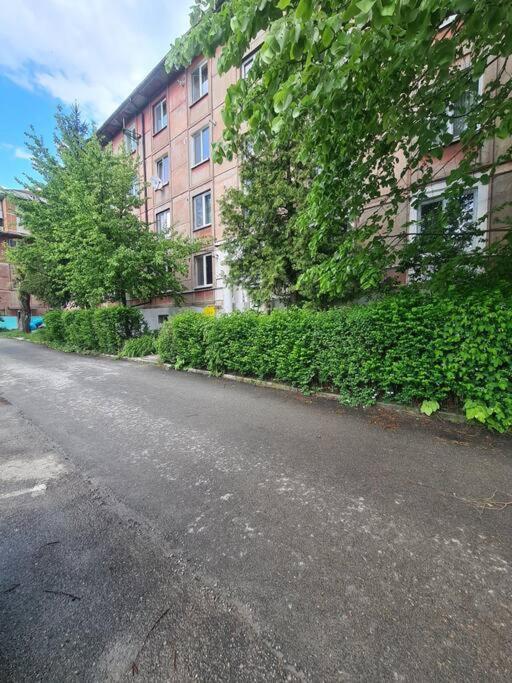 Mural Art Apartament Петрошани Экстерьер фото