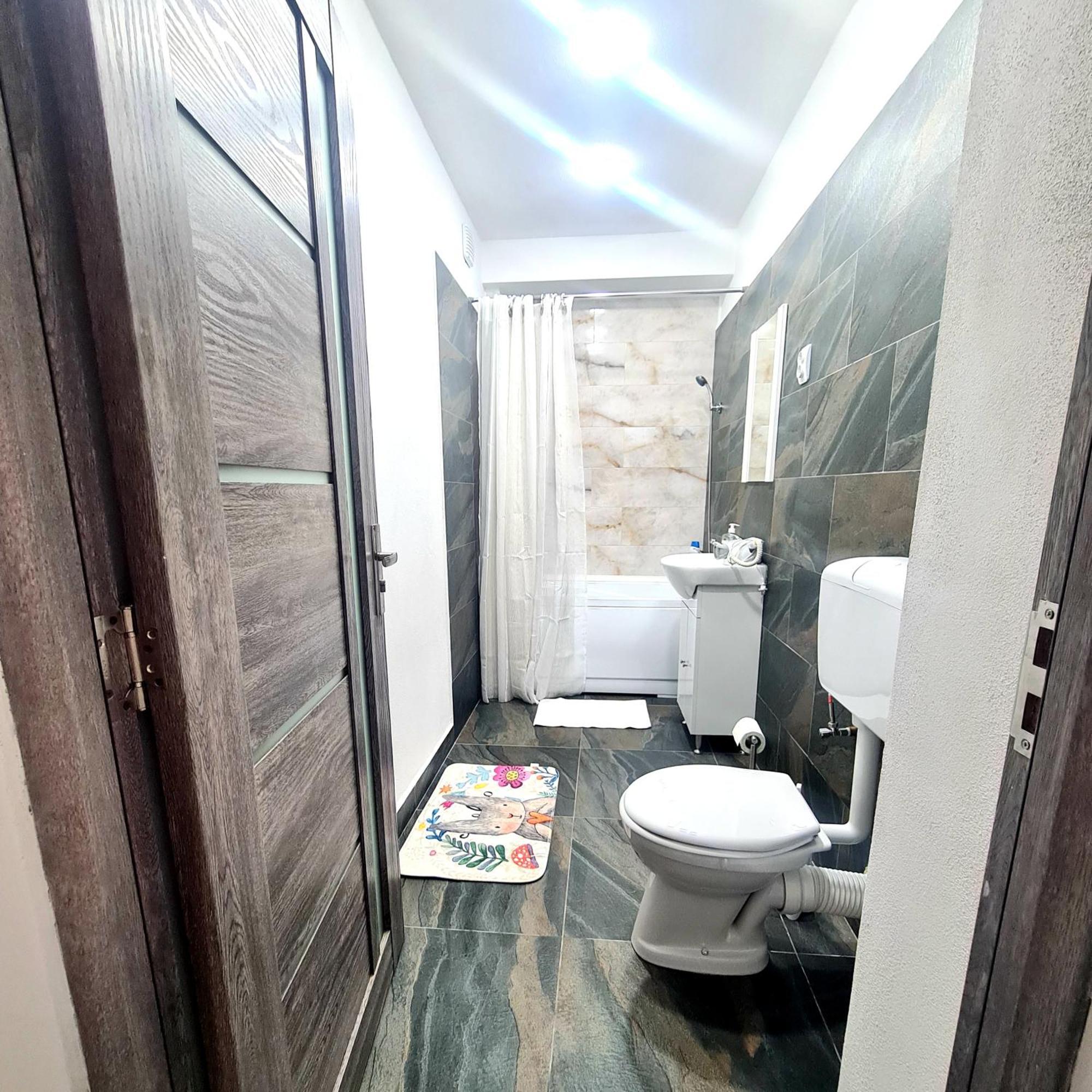Mural Art Apartament Петрошани Экстерьер фото